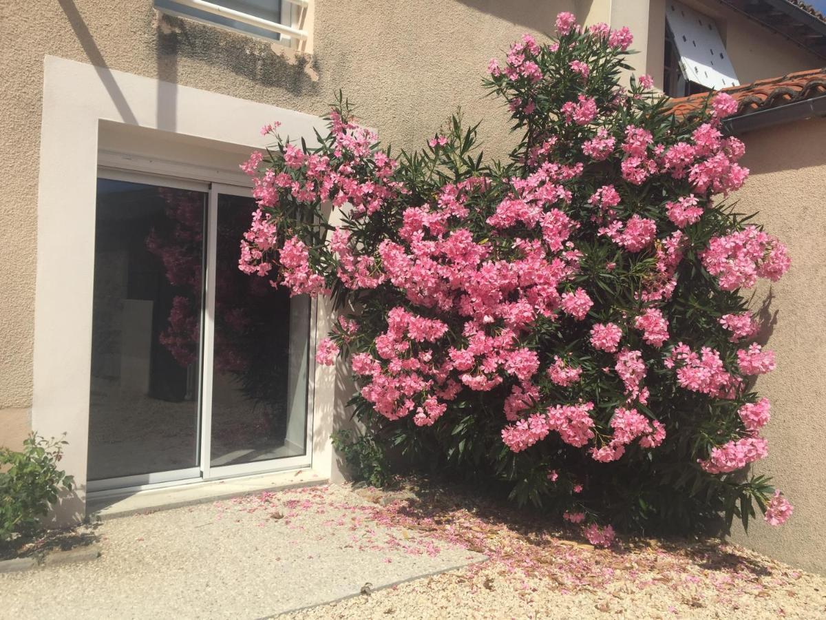Gite De La Foye - Le Magnolia Combrand Εξωτερικό φωτογραφία